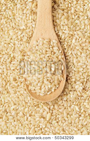 Brown rice on spoon