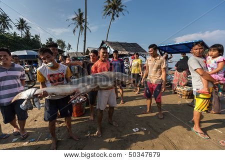 PADANG - AUGUST 25: Two fishmongers carry a freshly caught shark at a village market in Padang, West Sumatera, Indonesia on August 25, 2013. Resources from the sea is a major revenue earner.  