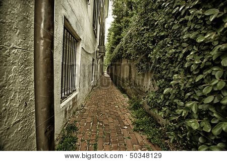 Alleyway in Charleston, South Carolina