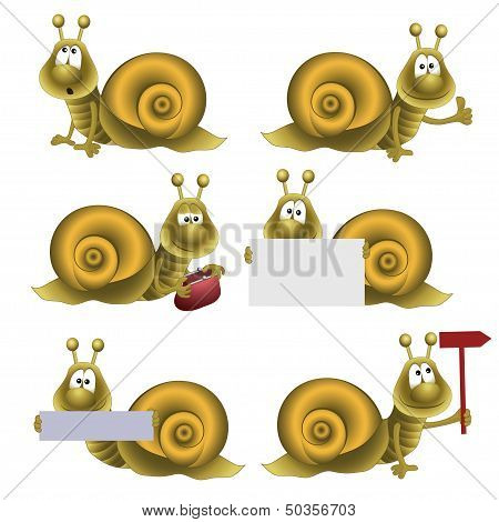 Funny Snail
