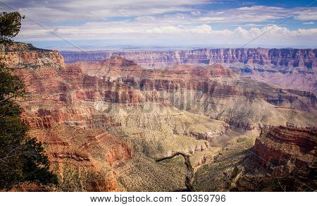 The Grand Canyon