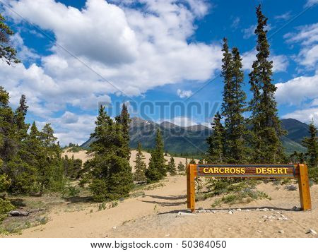 Carcross Desert Sand Dunes Yukon Territory Canada