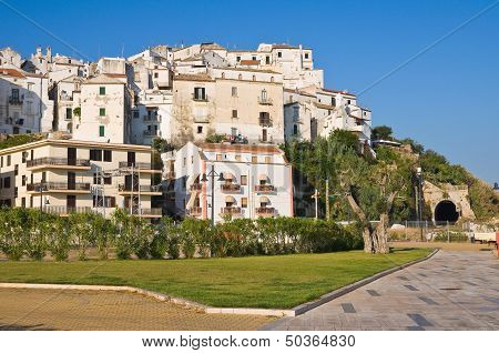 Panoramic view of Rodi Garganico. Puglia. Italy.