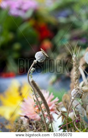 Close up of beautiful bouquets of flowers and herbs