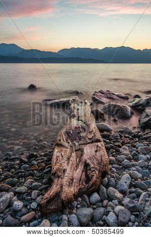 Log Along Lake Shore With Rocks