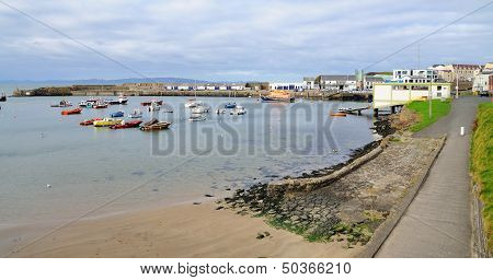 Small Harbourt In The City