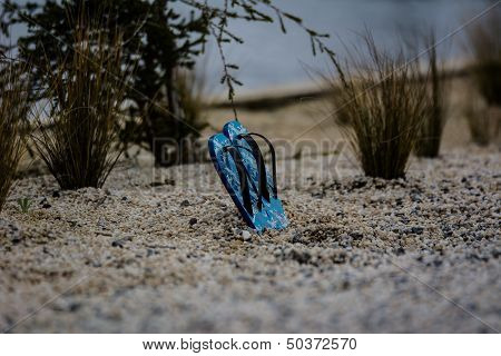 Sandles