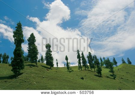 Zvlněná krajina země