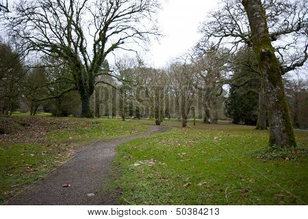 Grounds at Blarney Castle, Country Cork, Ireland
