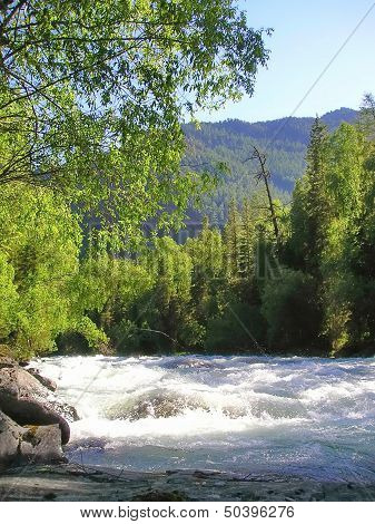 Altai river