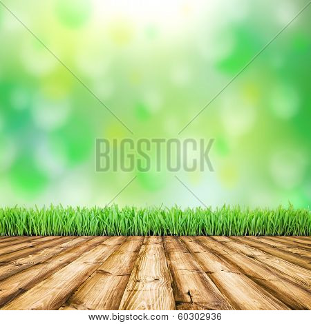 Background room interior. Fresh spring green field grass with blue bokeh and sunlight and wood floor. 