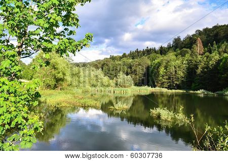 Lake In Forest
