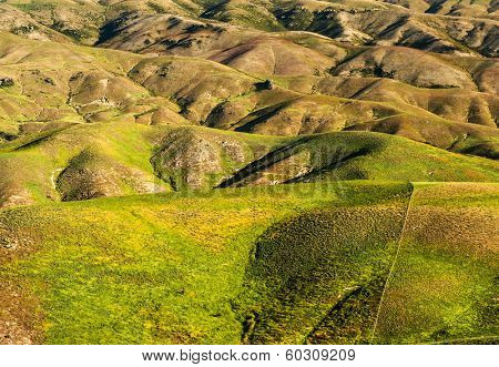 Beautiful green rolling hills of Southern New Zealand at dusk, Lindis Pass, Otago Region
