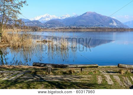 Lake Of Alserio (north Italy)
