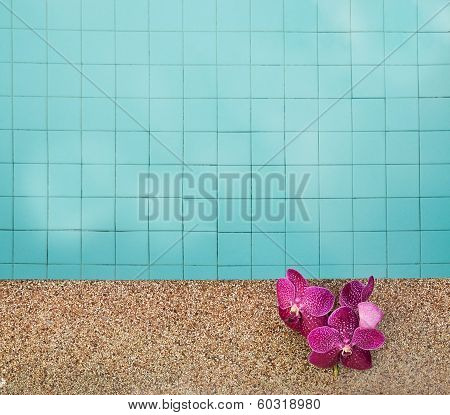Orchid On Edge Of  Pool