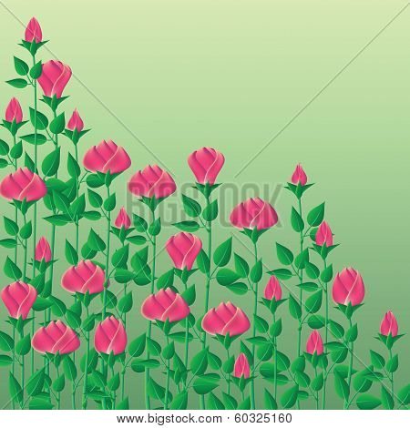 Background With Roses
