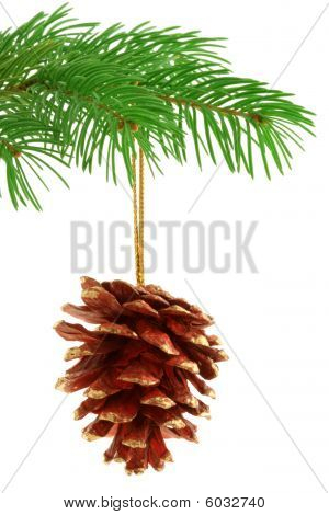 Kerstmis Pinecone