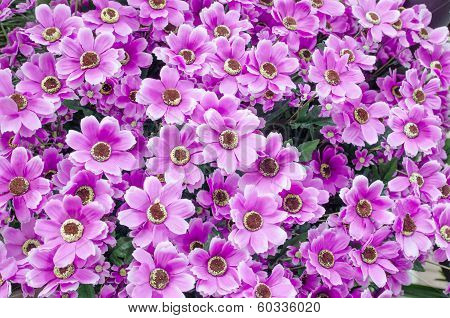 Set Of  Plastic Flower