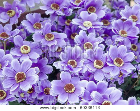 Set Of  Plastic Flower