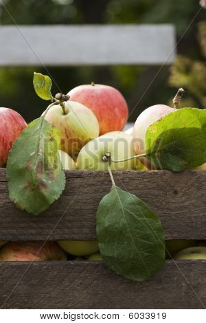 Omenat puinen laatikko