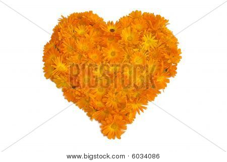 Oranssi kukka sydän