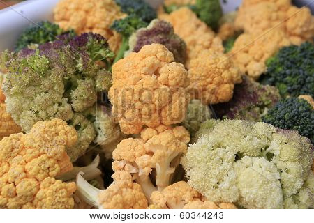 Gathering Home Harvest