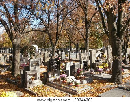 Small cemetery with autumn leaves and evening sun