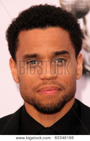 LOS ANGELES - FEB 22:  Michael Ealy at the 45th NAACP Image Awards Arrivals at Pasadena Civic Auditorium on February 22, 2014 in Pasadena, CA