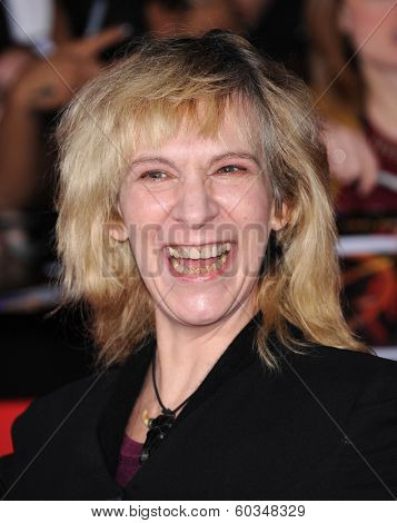 LOS ANGELES - NOV 18:  Amanda Plummer arrives to the 
