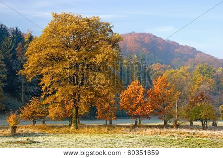 Beautiful Autumn Landscape
