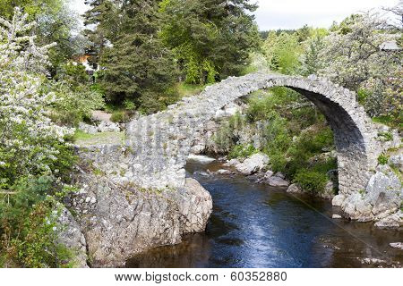 Old Packhorse bridge, Carrbridge, Highlands, Scotland