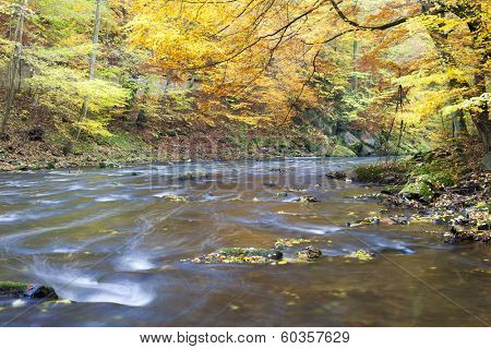 Metuje river in autumn, Czech Republic