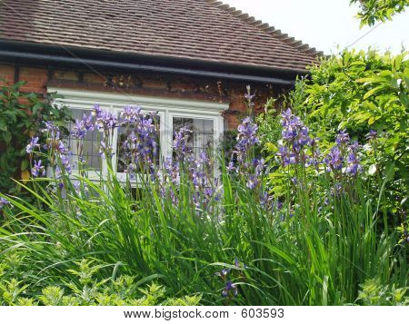 Sommerhus med blomster
