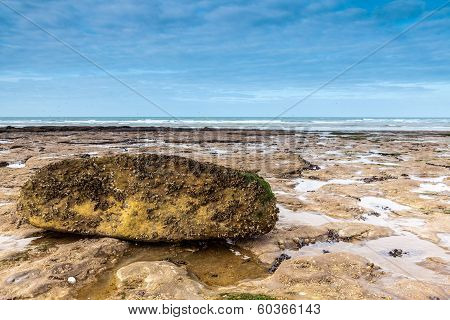 Rock on the beach