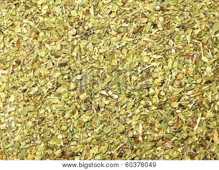 Oregano