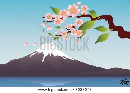 Fuji