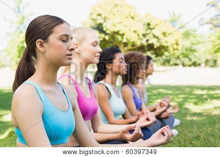 Female friends meditating in lotus position at the park