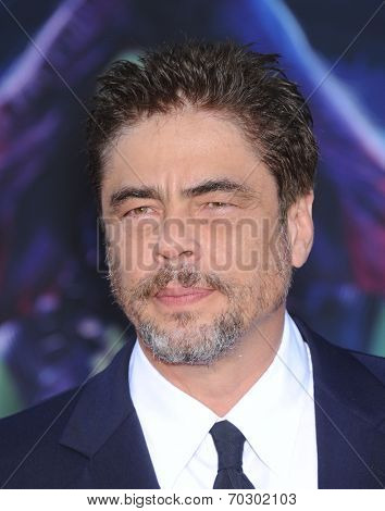 LOS ANGELES - JUL 21:  Benicio Del Toro arrives to the 