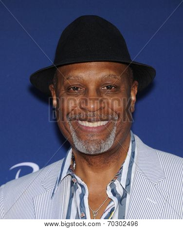 LOS ANGELES - APR 29:  James Pickens Jr. arrives to the 
