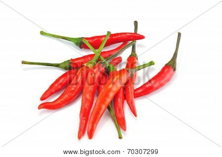 Red Chilly