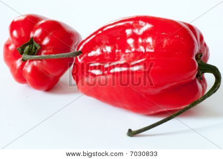 Habanero