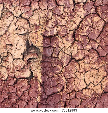 Grunge Textures