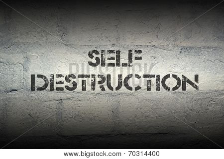 Self Destruction