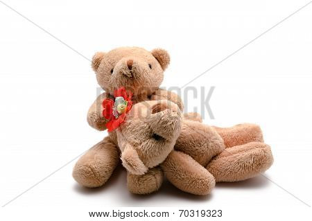 Two Toy Bears