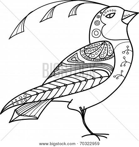 Bird