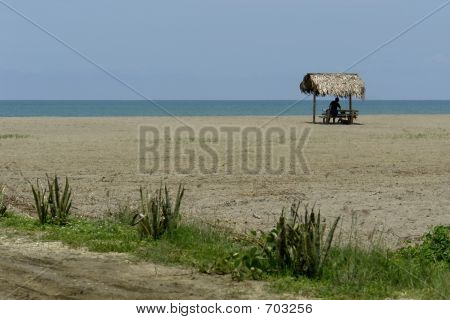 태평양에 있는 오두막에서 인도 여자