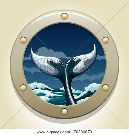 whale tail