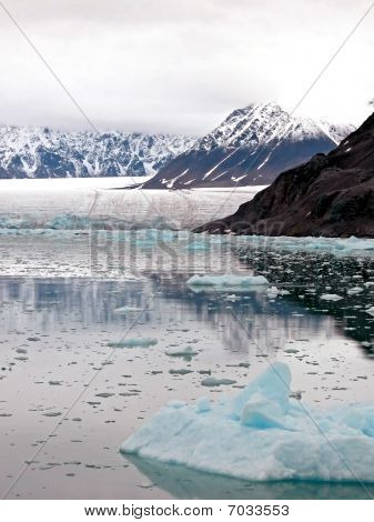Fiordo di Glacier Bay
