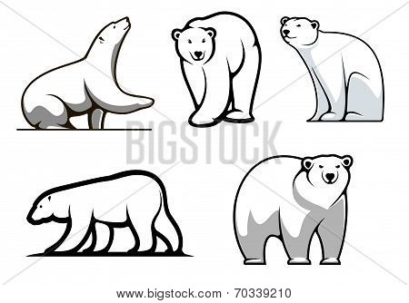 White polar bears set