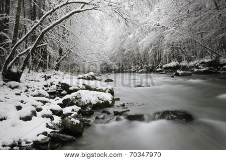 Mountain stream